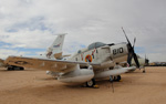 SKYRAIDER